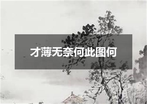 才薄无奈何此图何