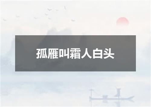 孤雁叫霜人白头