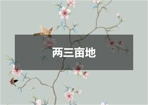 两三亩地