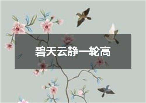 碧天云静一轮高