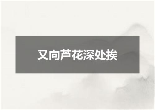 又向芦花深处挨