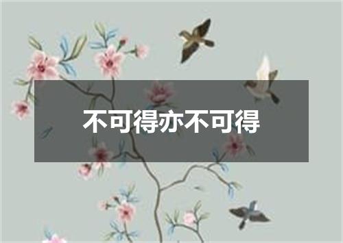 不可得亦不可得
