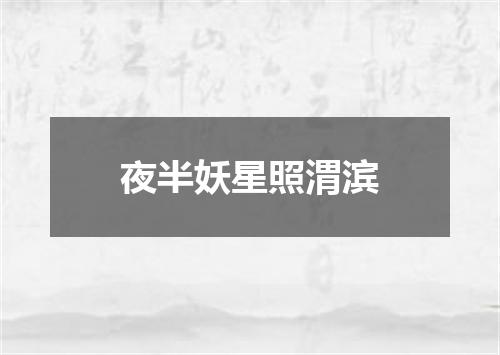 夜半妖星照渭滨