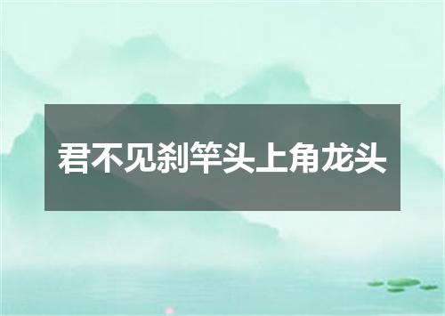 君不见刹竿头上角龙头
