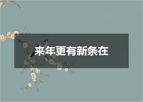 来年更有新条在