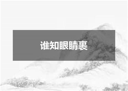 谁知眼睛裹