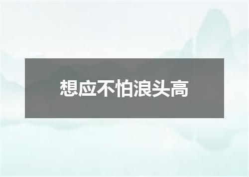 想应不怕浪头高