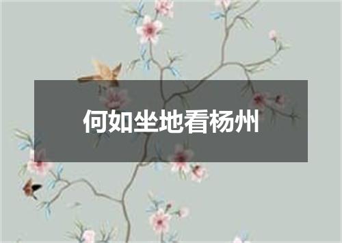 何如坐地看杨州