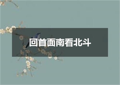 回首面南看北斗