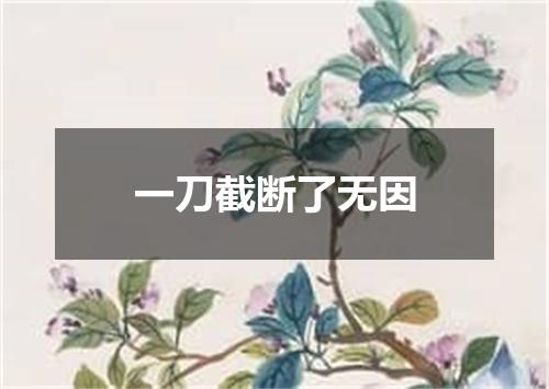 一刀截断了无因