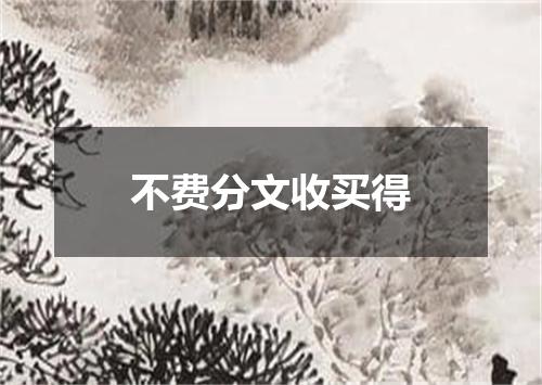 不费分文收买得