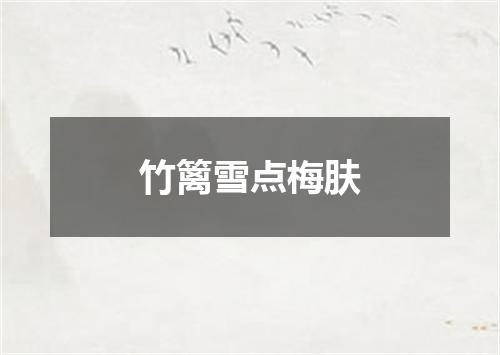 竹篱雪点梅肤