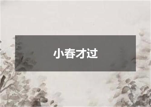 小春才过