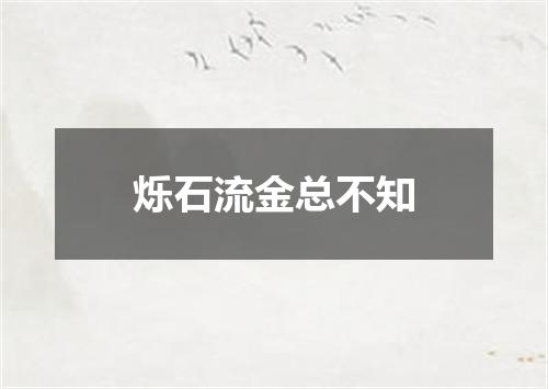 烁石流金总不知