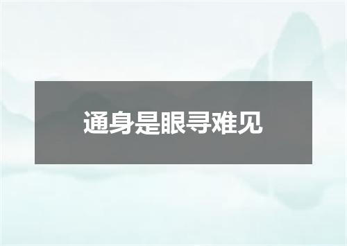 通身是眼寻难见