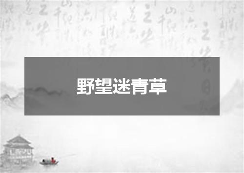 野望迷青草