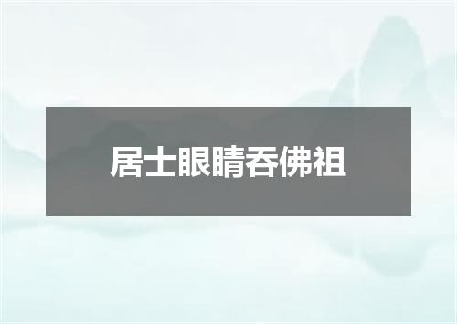 居士眼睛吞佛祖