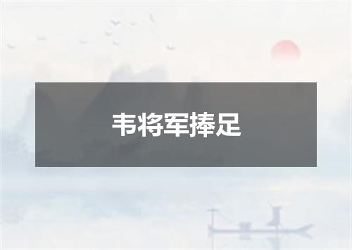 韦将军捧足