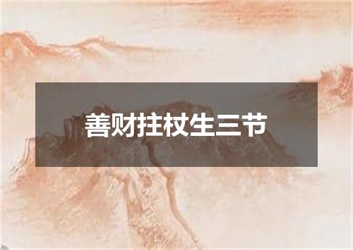 善财拄杖生三节