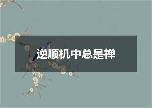 逆顺机中总是禅