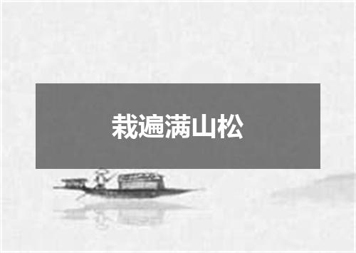 栽遍满山松