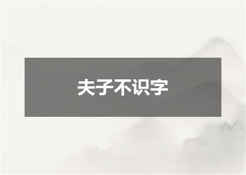 夫子不识字