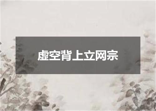 虚空背上立网宗