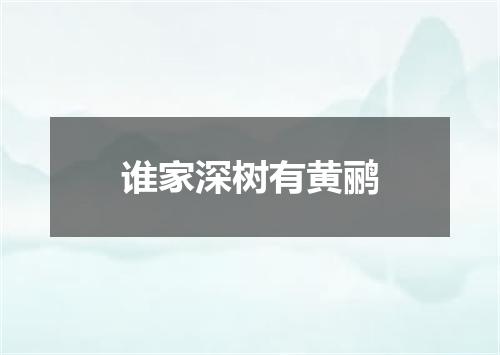 谁家深树有黄鹂