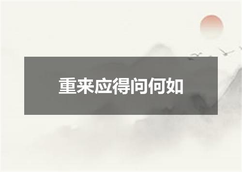 重来应得问何如