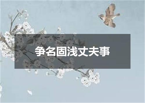 争名固浅丈夫事