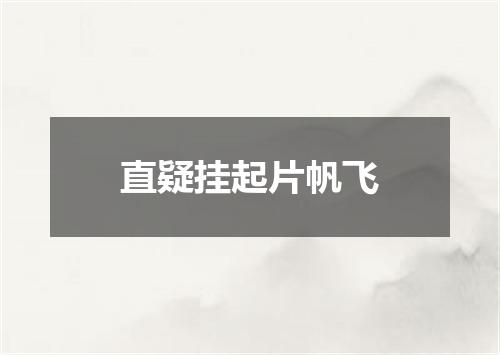 直疑挂起片帆飞