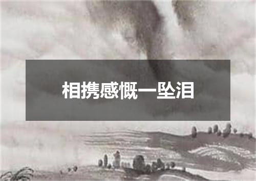 相携感慨一坠泪