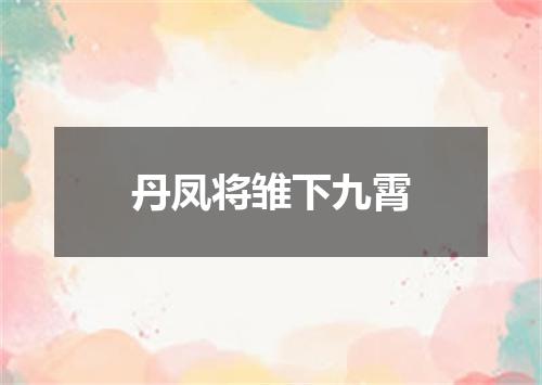丹凤将雏下九霄