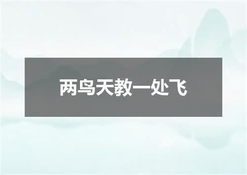 两鸟天教一处飞
