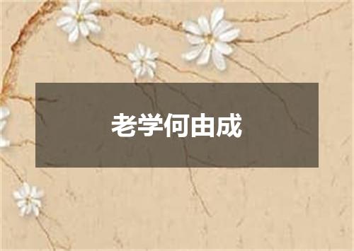 老学何由成