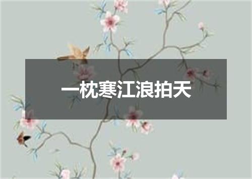 一枕寒江浪拍天
