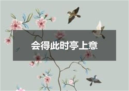 会得此时亭上意