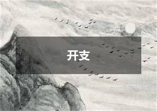 开支