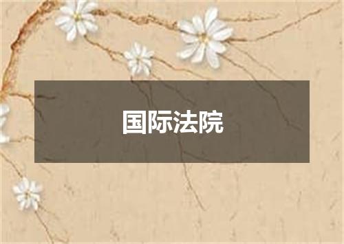 国际法院