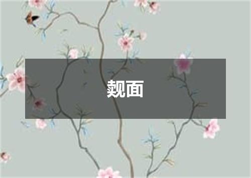觌面