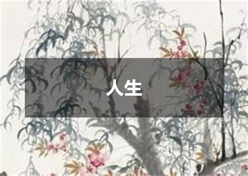 人生