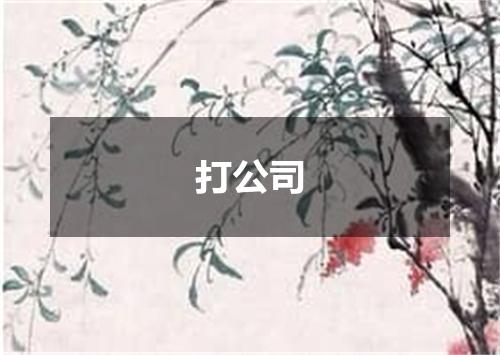 打公司