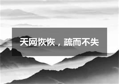 天网恢恢，疏而不失