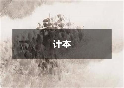 计本