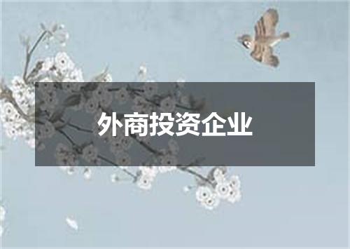 外商投资企业