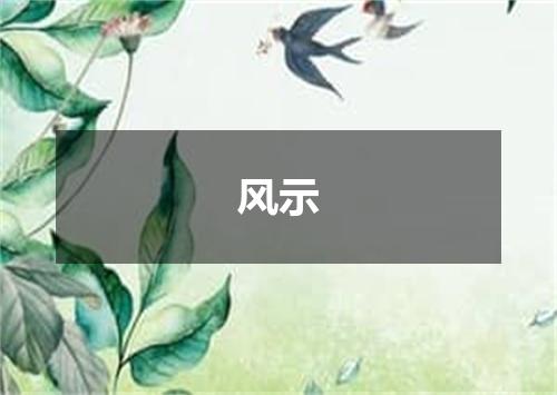 风示