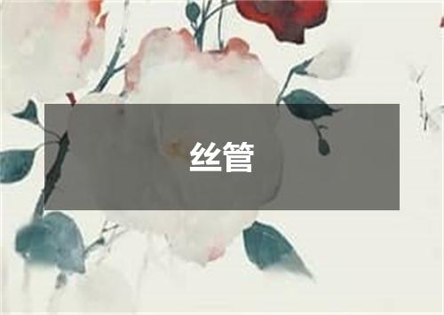 丝管