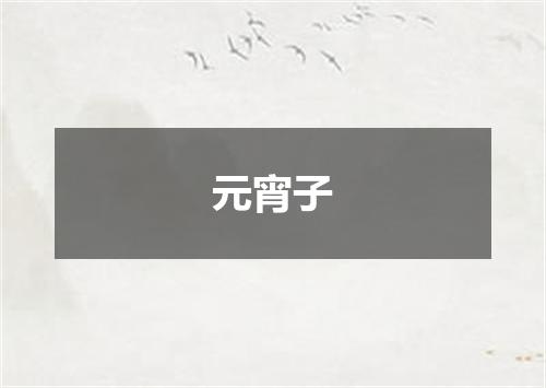 元宵子