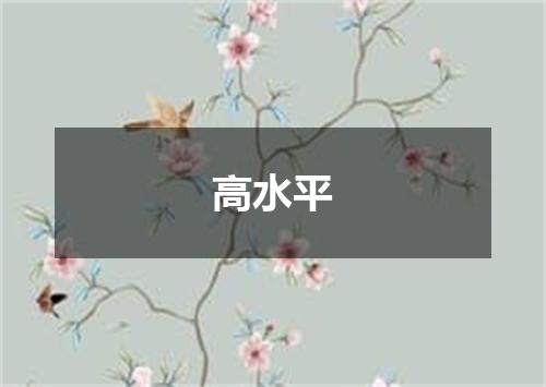 高水平