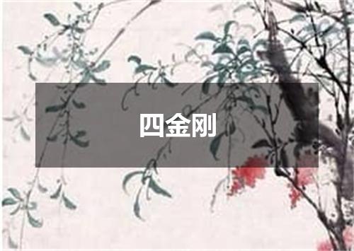 四金刚